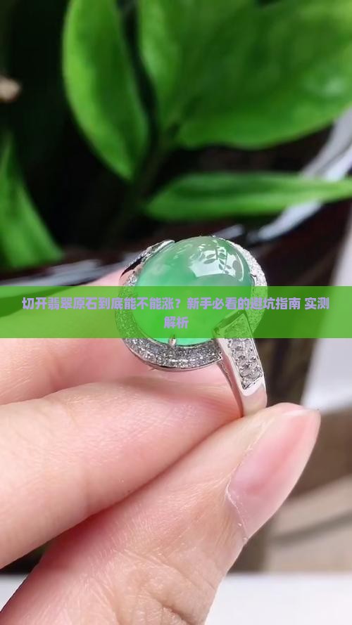 翡翠原石切开了怎么看涨