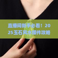 玉石风水摆件直播间现场直播卖货