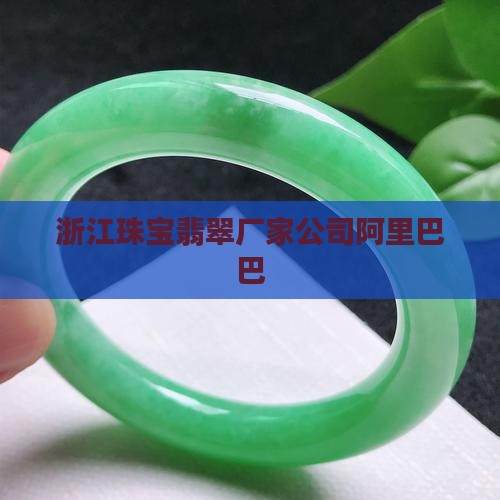 浙江创意翡翠首饰设备制造厂