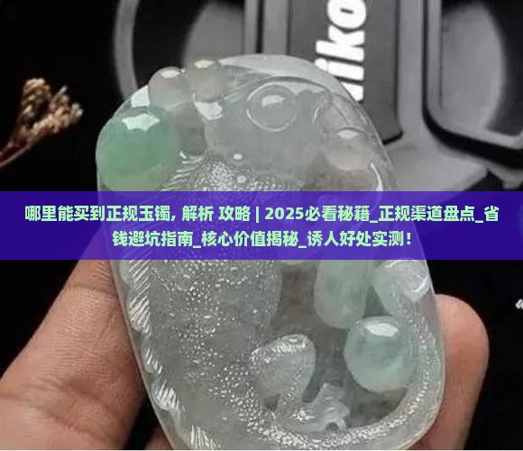哪里能买到正规玉镯