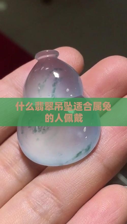 生肖兔戴什么颜色的翡翠吊坠好