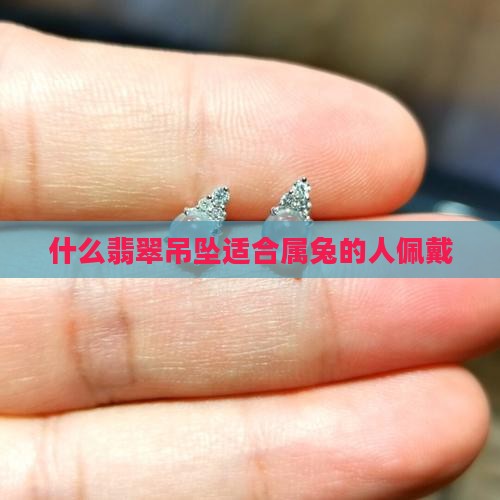 生肖兔戴什么颜色的翡翠吊坠好