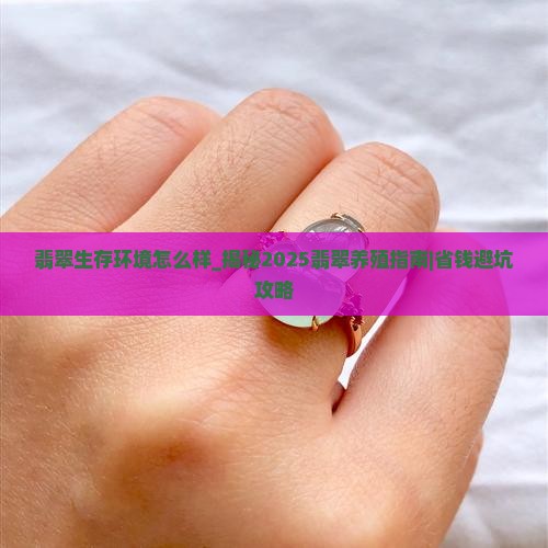 翡翠生存环境怎么样