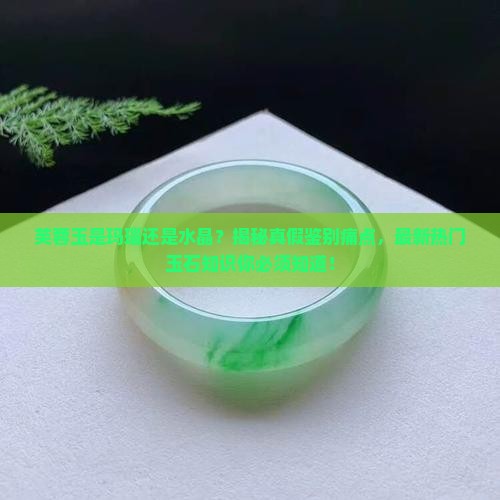 芙蓉玉是玛瑙还是水晶