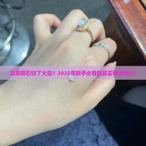 翡翠原石切了大涨