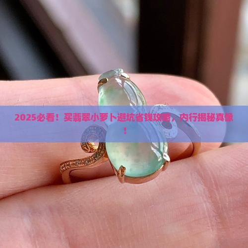 买翡翠小萝卜