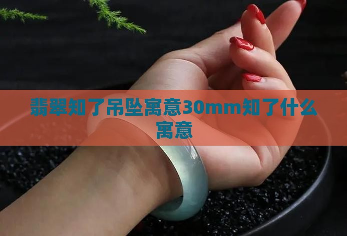 翡翠知了吊坠寓意30mm