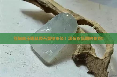 缅甸黄玉明料原石
