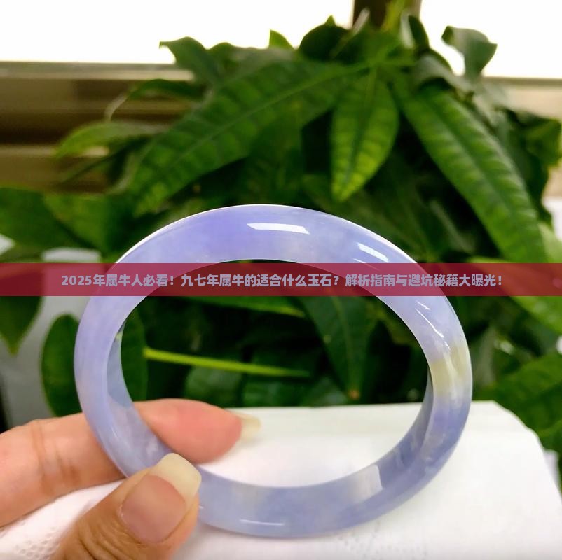 九七年属牛的适合什么玉石