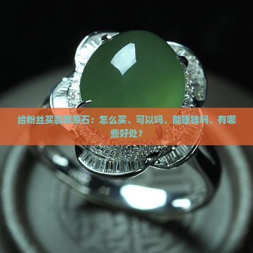 给粉丝买翡翠原石