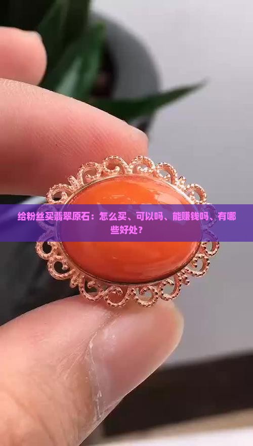 给粉丝买翡翠原石