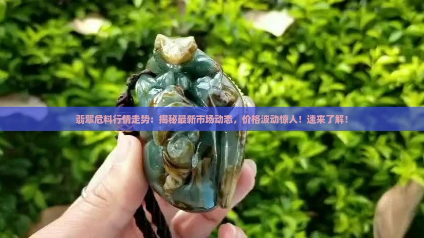翡翠危料行情走势