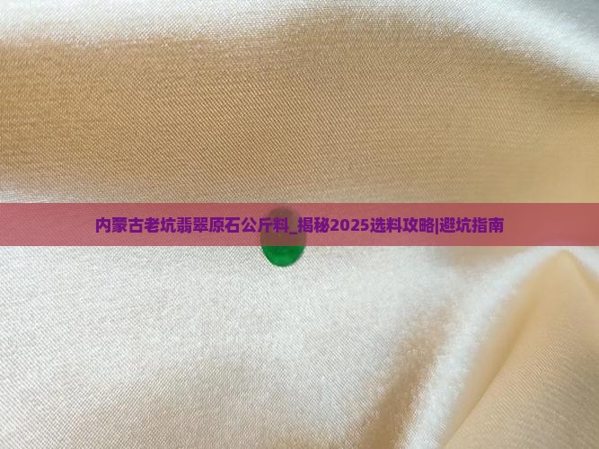 内蒙古老坑翡翠原石公斤料