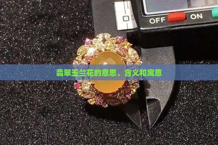 翡翠玉兰花的意思