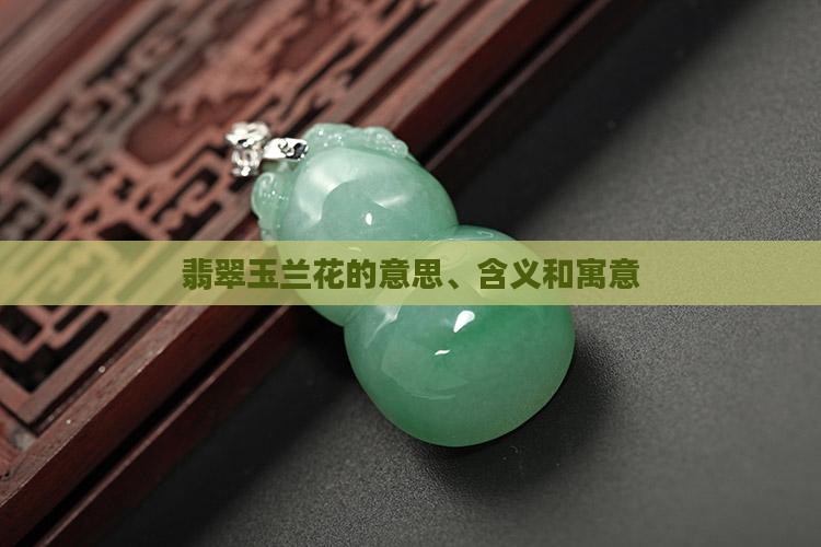 翡翠玉兰花的意思