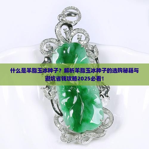 什么是羊脂玉冰种子