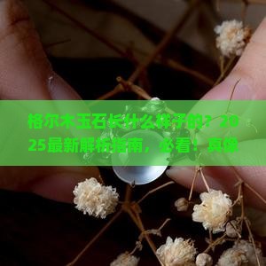 格尔木玉石长什么样子的
