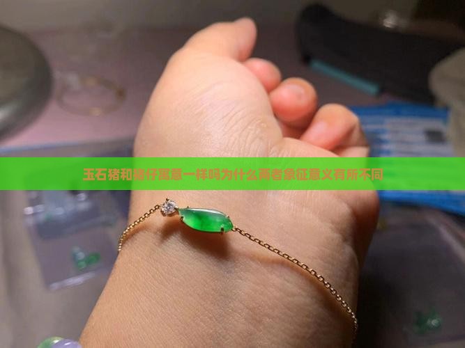 玉石猪和猪仔寓意一样吗