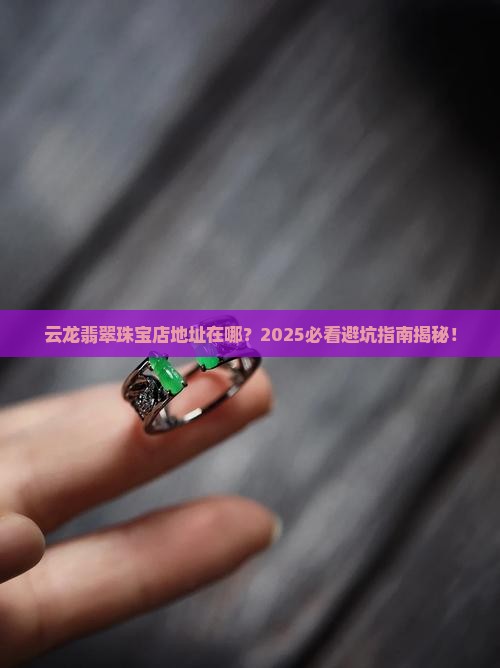 云龙翡翠珠宝店地址