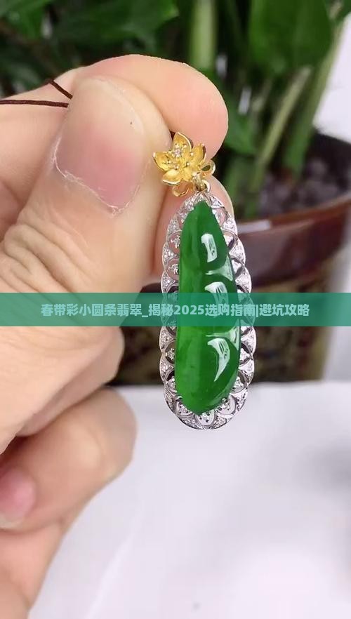 春带彩小圆条翡翠
