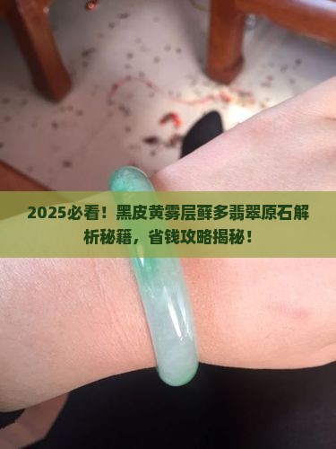 黑皮黄雾层藓多翡翠原石