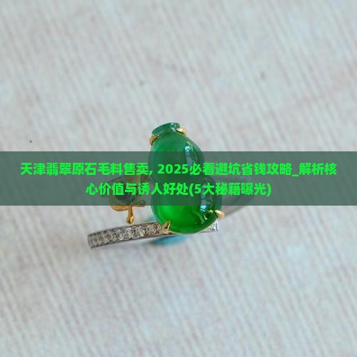 天津翡翠原石毛料售卖