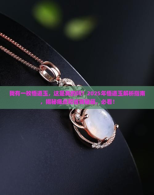 我有一枚悟道玉