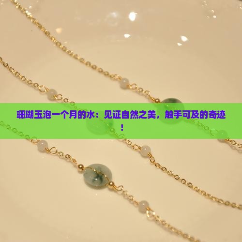 珊瑚玉泡一个月的水