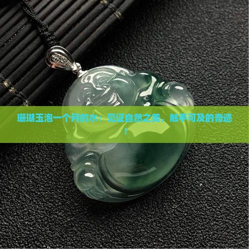 珊瑚玉泡一个月的水