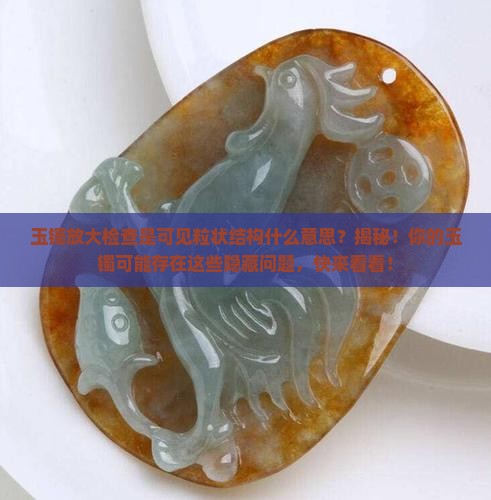 玉镯放大检查是可见粒状结构什么意思