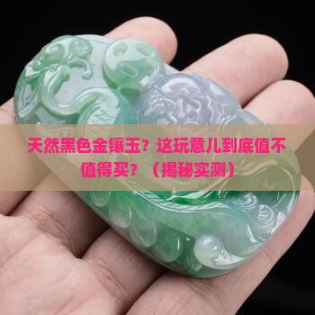天然黑色金镶玉