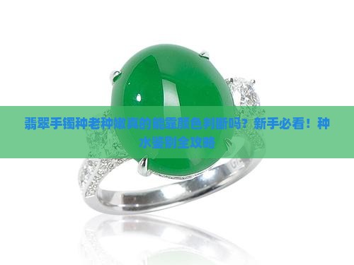 翡翠手镯种老种嫩可以通过颜色判断吗 翡翠手镯种老种嫩可以通过颜色判断吗