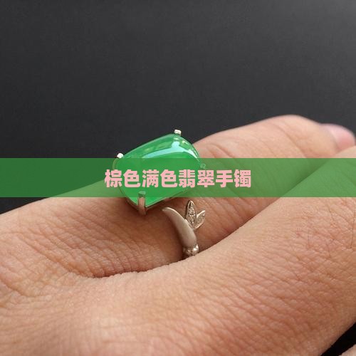 满棕色翡翠镯子