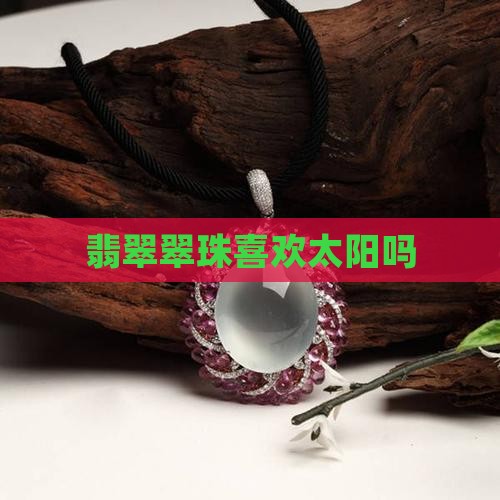 翡翠珠喜欢太阳吗