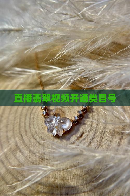 直播翡翠号