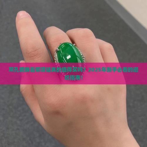 双孔貔貅翡翠项链