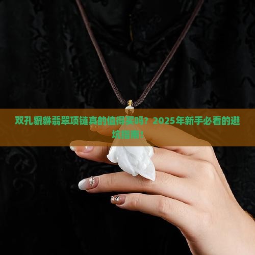 双孔貔貅翡翠项链
