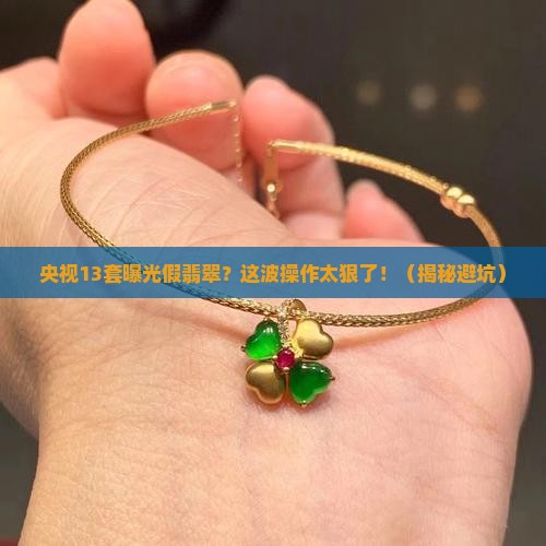 央视13套曝光假翡翠