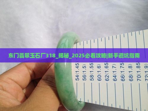 东门翡翠玉石厂318