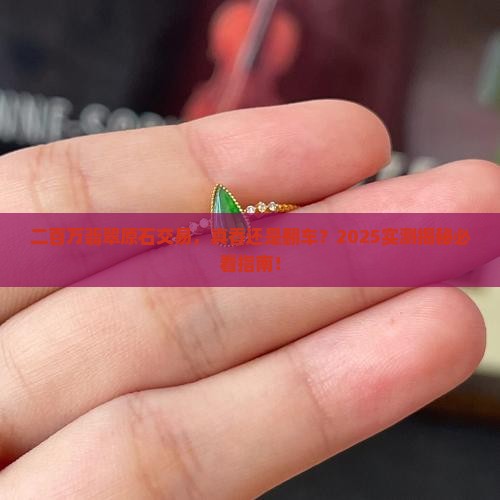 二百万买翡翠原石是真的吗