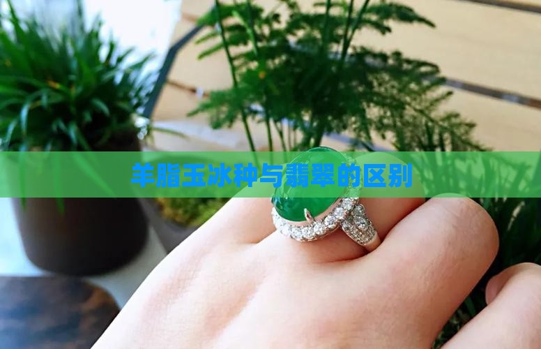羊脂玉小冰种