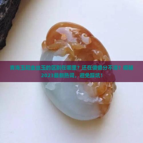 青海玉和金丝玉的区别在哪里