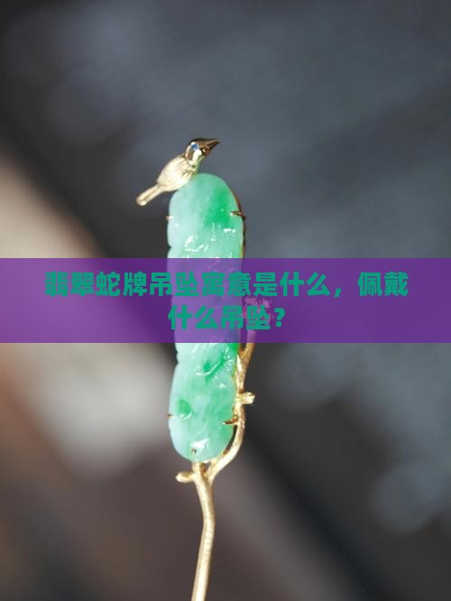 翡翠蛇牌吊坠寓意和象征 翡翠蛇牌吊坠寓意和象征