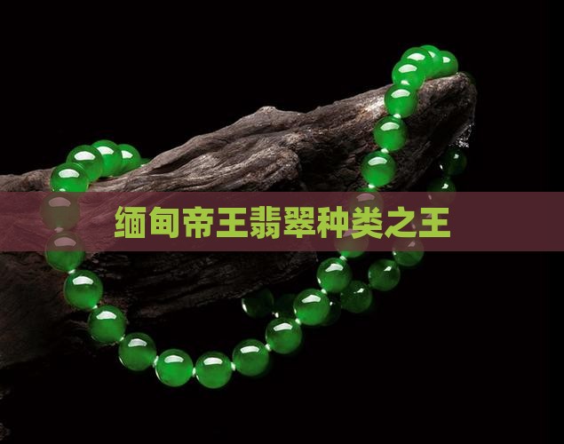 缅甸玉霸王绿