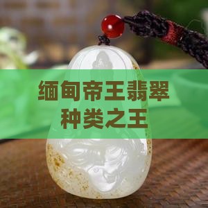 缅甸玉霸王绿