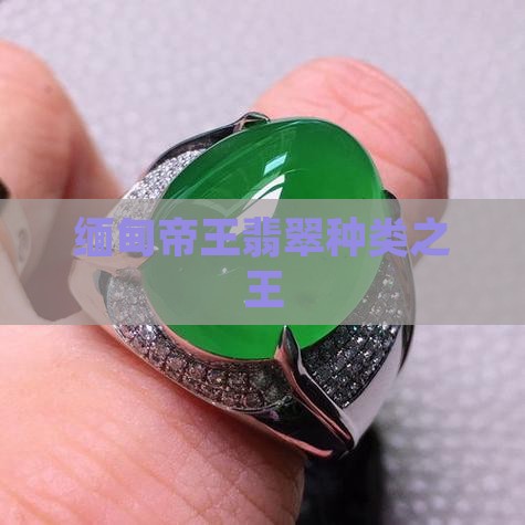 缅甸玉霸王绿