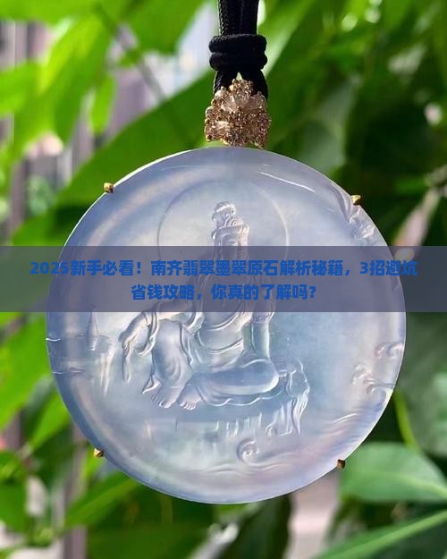 南齐翡翠墨翠原石