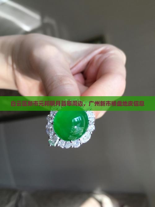 白云区新市元邦明月翡翠周边