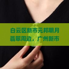 白云区新市元邦明月翡翠周边