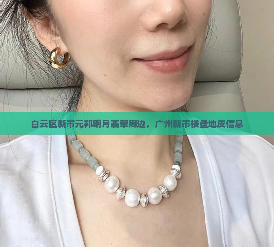 白云区新市元邦明月翡翠周边
